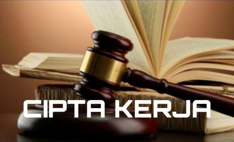 Lewat UU Cipta Kerja, Transformasi Regulasi Terwujud di Indonesia Berkat Presiden Jokowi