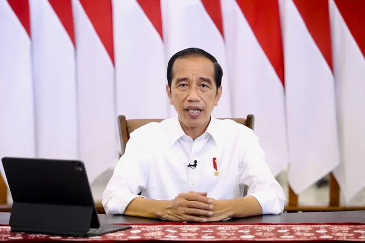 Bangun Fondasi Ekonomi Berkelanjutan, Presiden Jokowi Hadirkan Lompatan Investasi