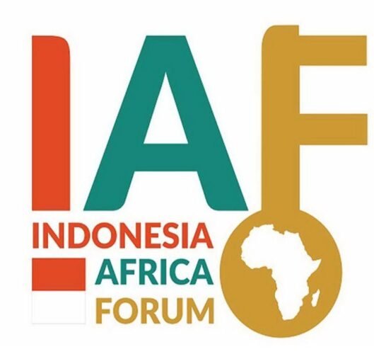 Indonesia-Afrika Forum 2024: Peluang Kolaborasi Bidang Digital Dieksplorasi oleh Indonesia dan Mesir