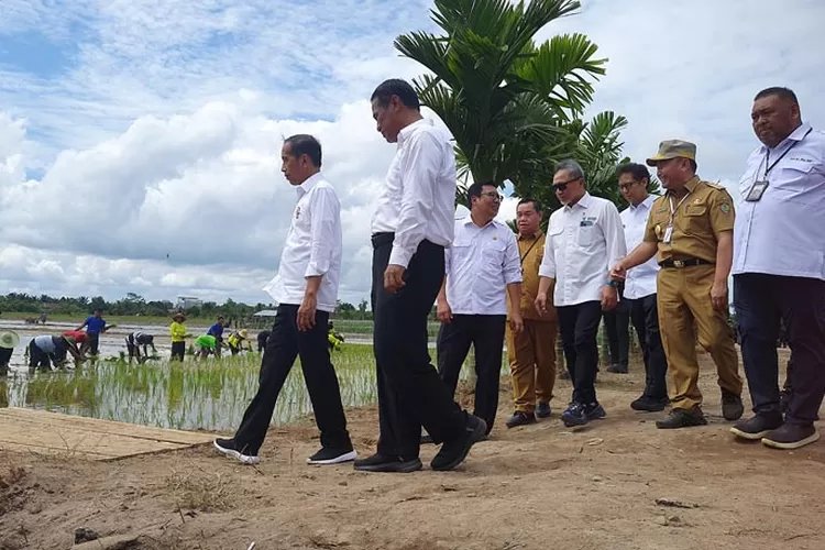 Pembangunan Merata, Refleksi Satu Dekade Presiden Jokowi Wujudkan Indonesiasentris