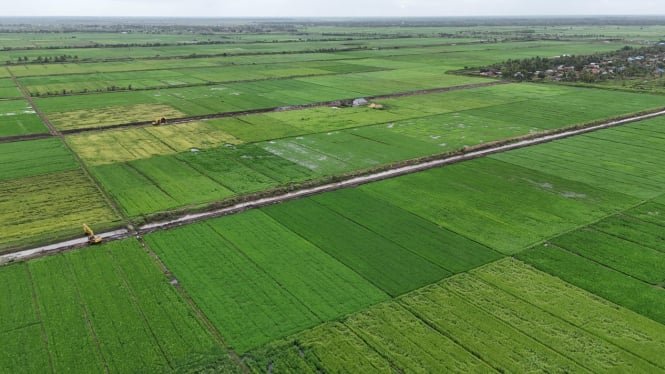 Generasi Muda Papua Dukung Program Ketahanan Pangan Nasional, Merauke Siap Jadi Pusat Produksi Beras