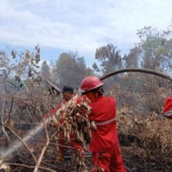 Aksi Kolaboratif Kunci Sukses Pencegahan Karhutla