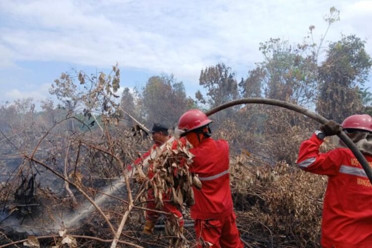 Aksi Kolaboratif Kunci Sukses Pencegahan Karhutla
