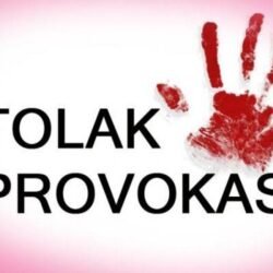 Masyarakat Papua Tolak Provokasi, Dukung Tindak Tegas terhadap OPM