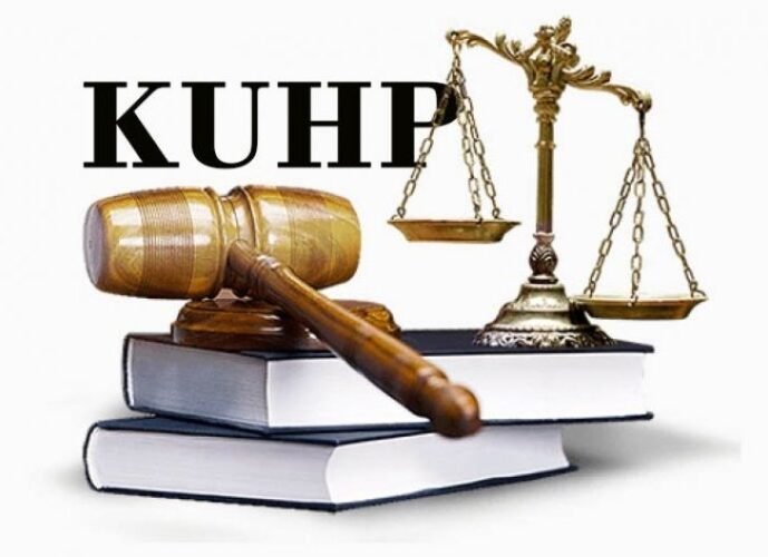DPR dan Pemerintah Susun KUHAP Sesuai Kebutuhan Sosial Budaya