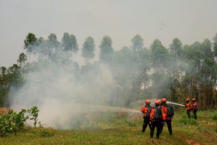 Pemerintah Dorong Peran Aktif Sektor Swasta Cegah Karhutla