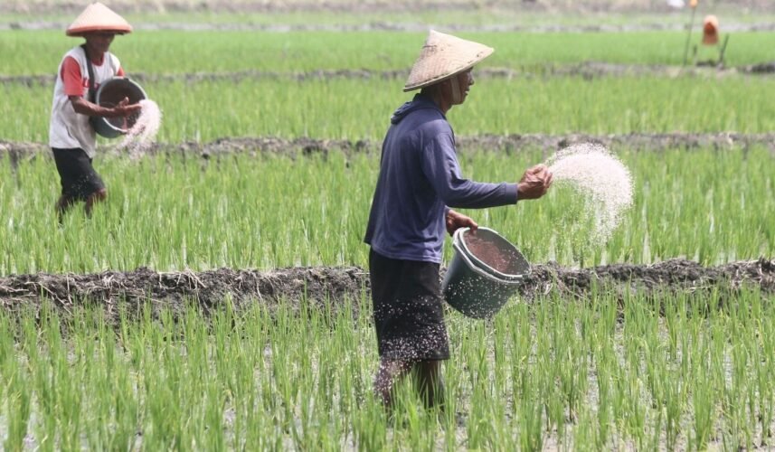Masyarakat Dorong Keberhasilan Program Swasembada Pangan Pemerintah