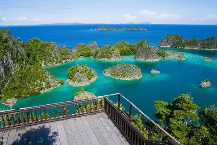 Komitmen Pemerintah Menjaga Keseimbangan Ekologis dan Investasi di Raja Ampat