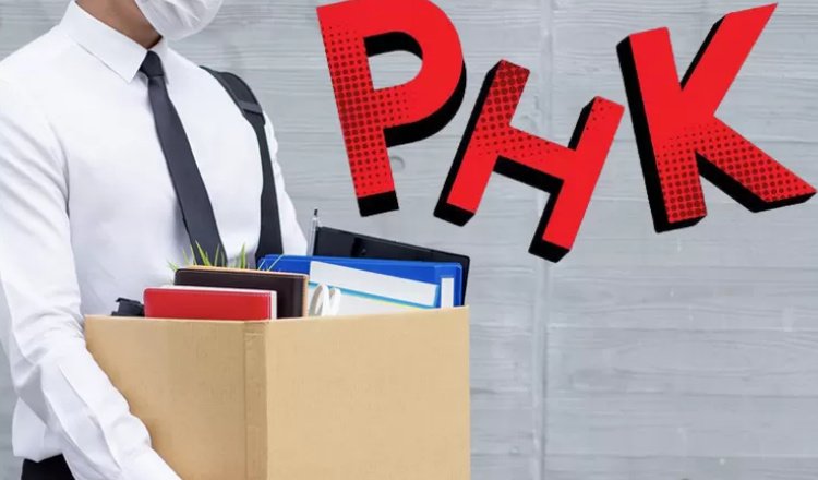 Pemerintah Bangun Ekosistem Kerja Baru untuk Cegah PHK Jangka Panjang