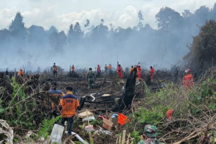 Pemerintah Dorong Peran Pengusaha Cegah Karhutla