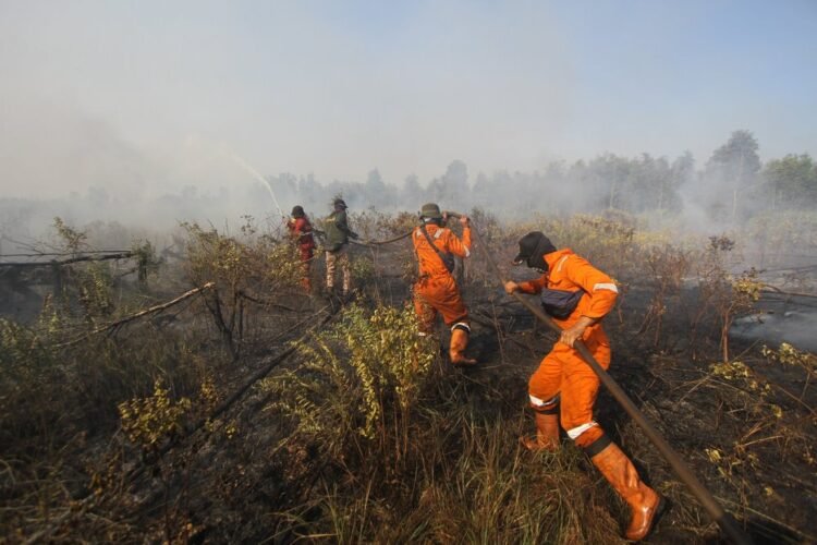 Tanggap Dini Pemerintah Kendalikan Titik Panas Guna Cegah Karhutla