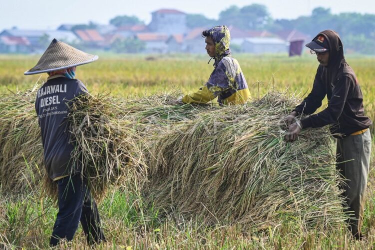 Swasembada Pangan dan Energi Kunci Ketahanan Nasional