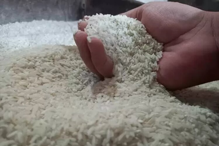 Pemerintah Dorong Sinergi Lintas Lembaga Berantas Beras Oplosan