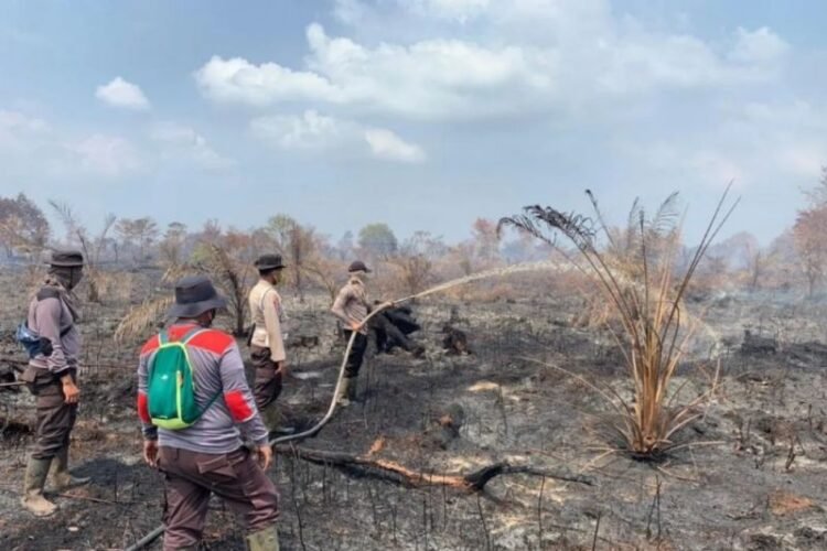 Mendukung Strategi Komprehensif Pemerintah Tangani Karhutla Riau