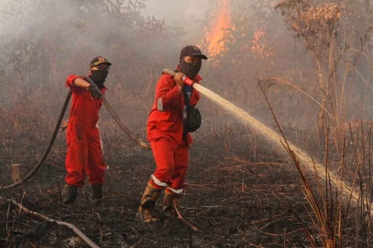 Komitmen Pemerintah dalam Penanganan Bencana Karhutla di Riau